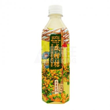 (无奖)鸿福堂咸柑桔水果饮品500ml/瓶