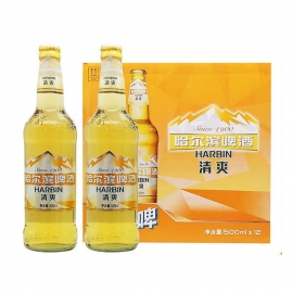哈尔滨清爽8度啤酒500ml/瓶